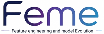 FEME — Feature Engineering and Model Evolution
